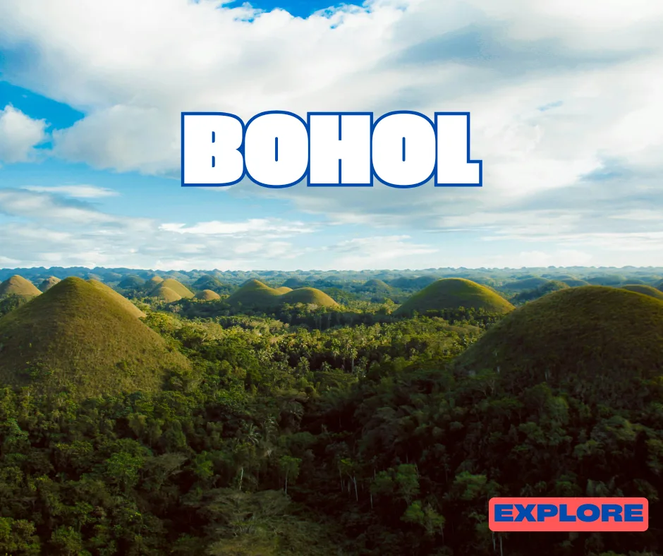 Bohol Properties