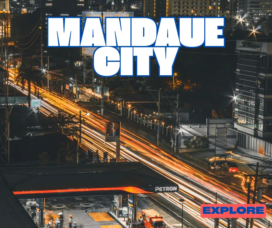 Mandaue City Properties