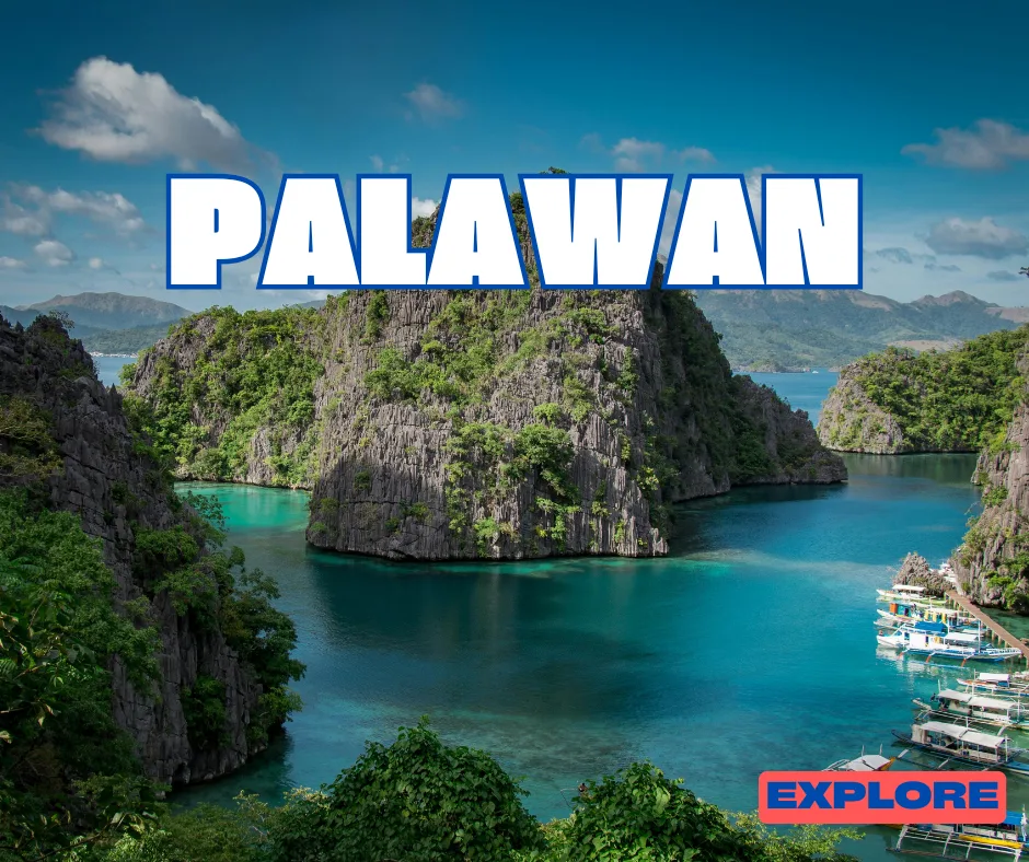 Palawan Properties