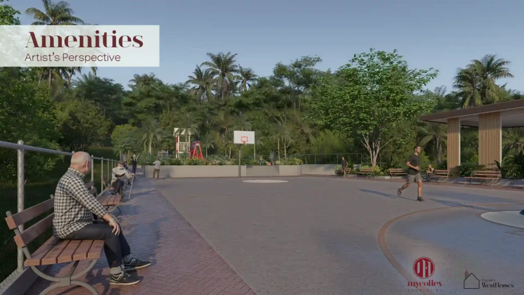 Basketball court area